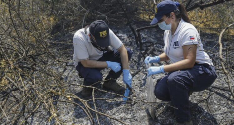 Incendio forestal Ránquil