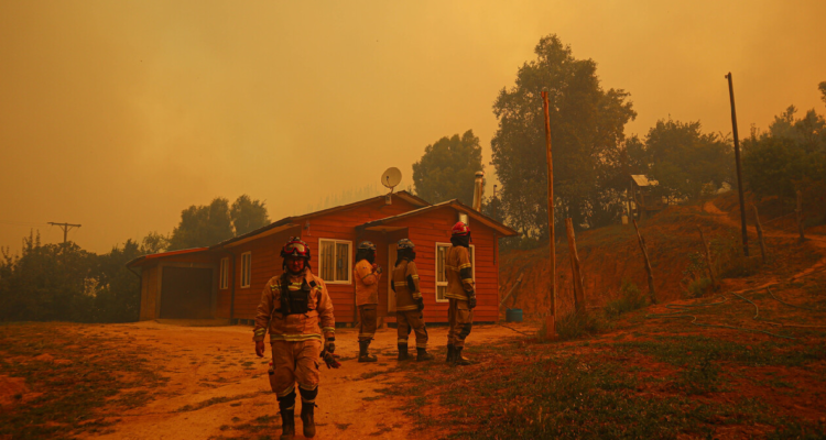 36 viviendas dañadas por incendio forestal en Santa Juana: superficie afectada alcanza 5.323 hectáreas