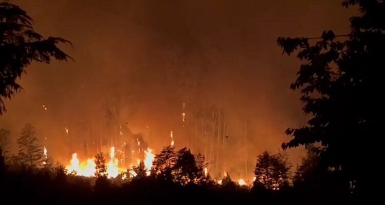 Incendio forestal en Paillaco y Valdivia: declaran contenidos focos en Los Guindos y Morrompulli