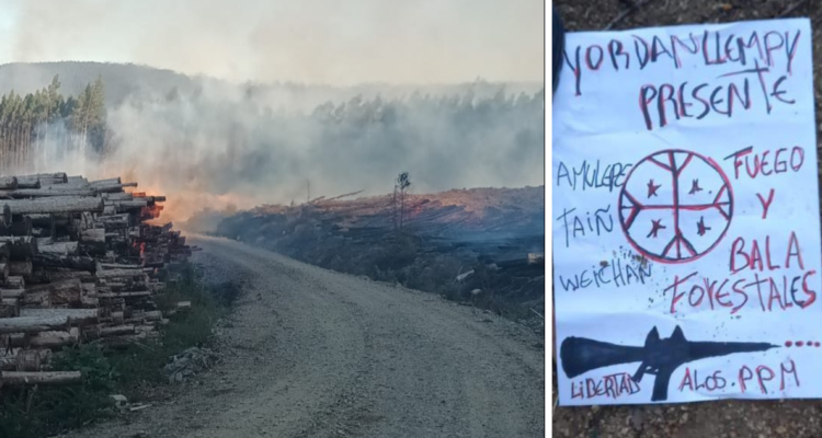 Brigadas combaten incendio forestal intencional en Lebu: advierten 20 focos y panfleto reivindicatorio