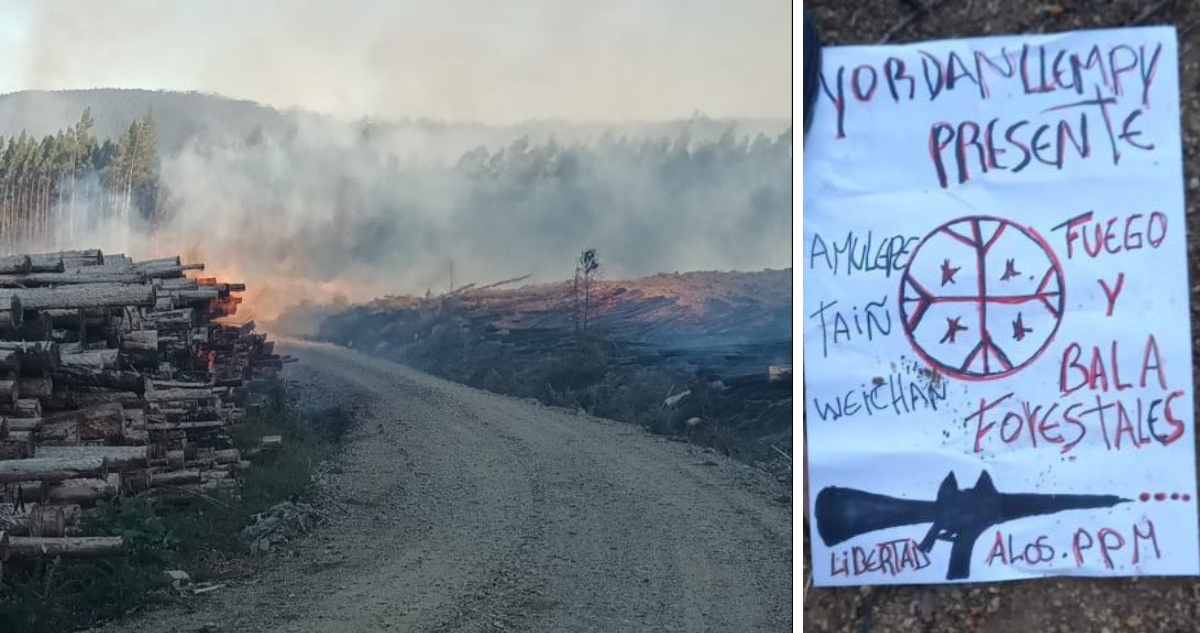 Brigadas combaten incendio forestal intencional en Lebu: advierten 20 focos y panfleto reivindicatorio