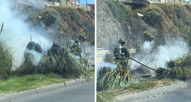 Bomberos controlan incendio en Viña del Mar