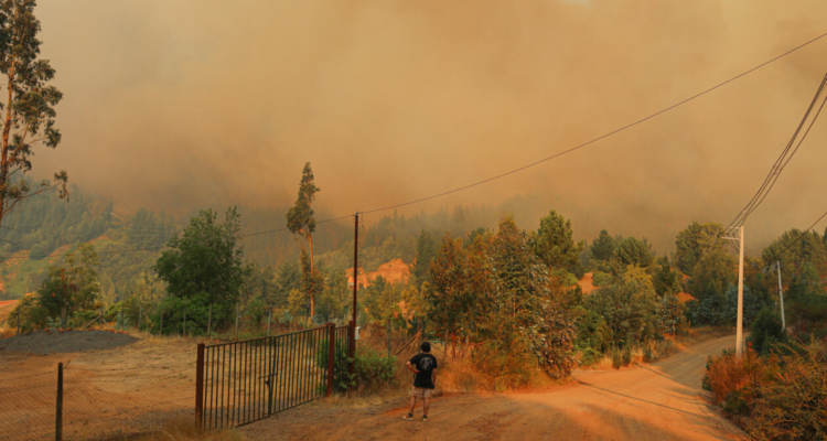 Próxima semana finaliza construcción de casas para afectados por incendios en Santa Juana y Nacimiento