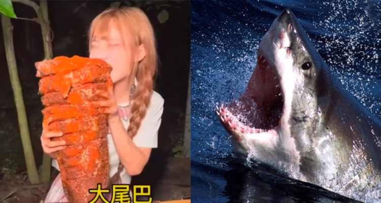 Influencer china se come tiburón y recibe multa