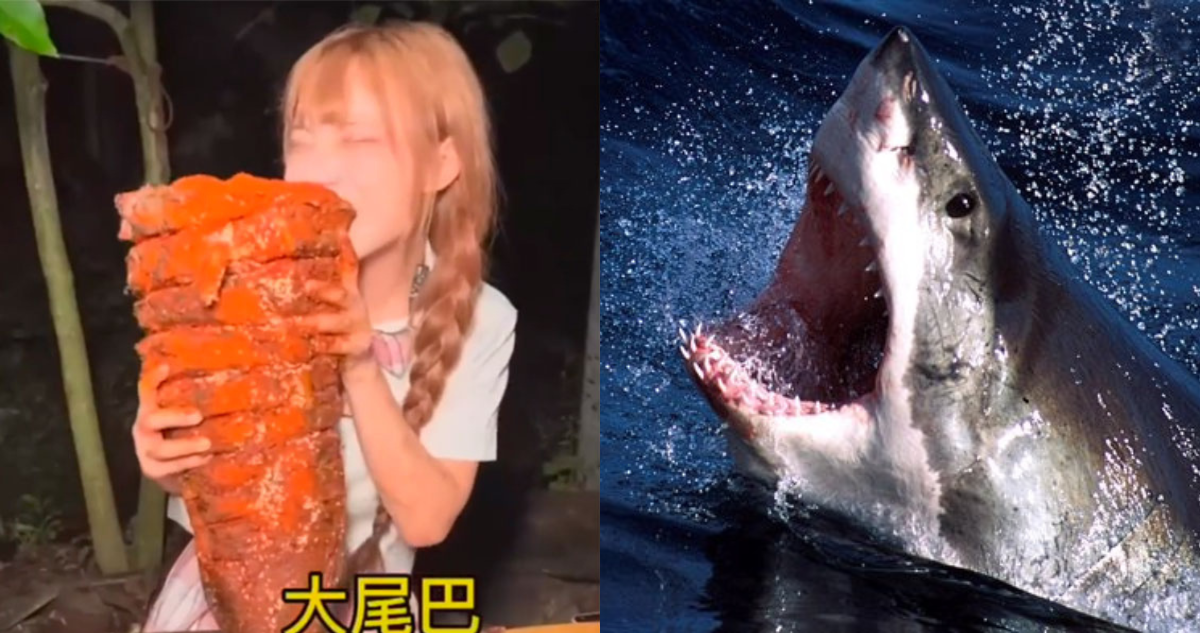 Influencer china se come tiburón y recibe multa