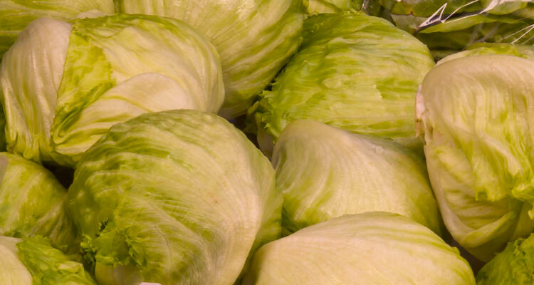 La lechuga iceberg o escarola es la menos recomendada por los nutricionistas