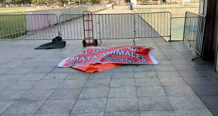 Zoológico de Los Ángeles protesta con un león muerto en el exterior de La Moneda