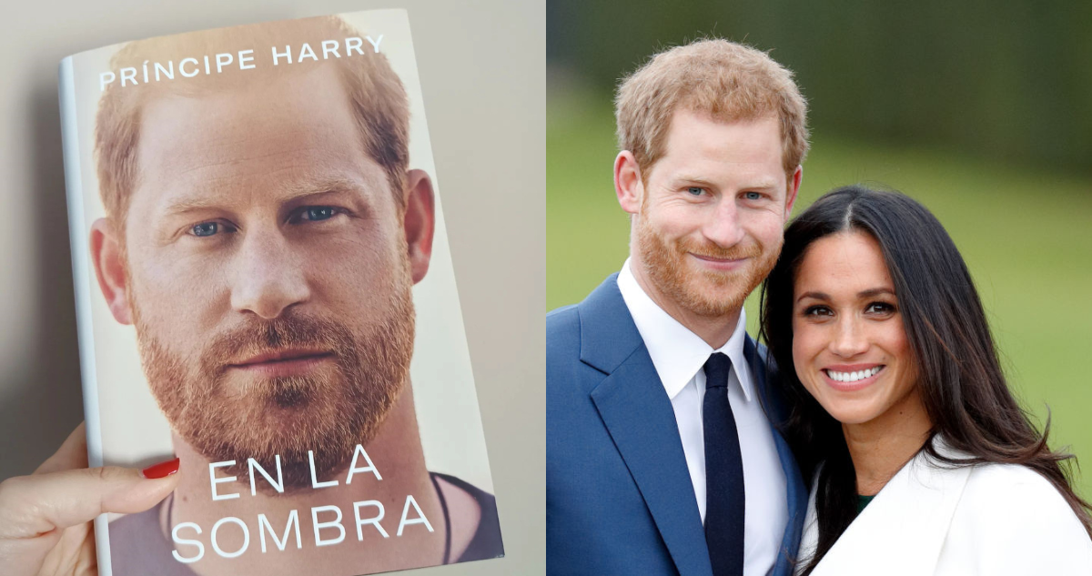 En la sombra, de Harry