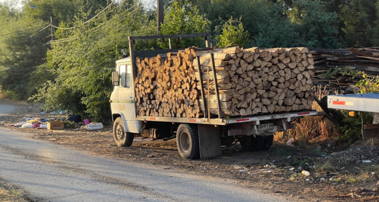Líderes de “Los Camperos” quedan en prisión por 14 delitos de robo de madera: hay otros 9 acusados