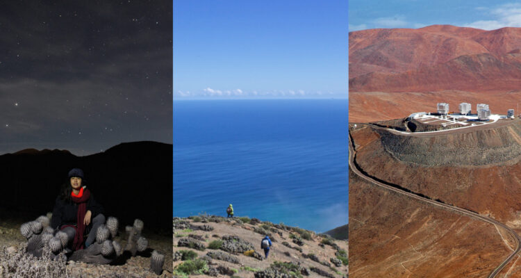 Maravillas naturales que ofrece Taltal