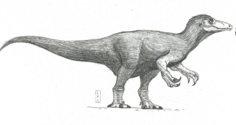 Ilustración del Megarraptor de Magallanes