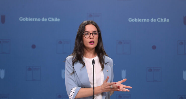 Vallejo: “Si el Presidente hubiera tenido los elementos a la vista, la situación habría sido distinta”