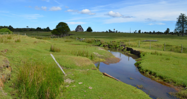 Monte Verde en Puerto Montt