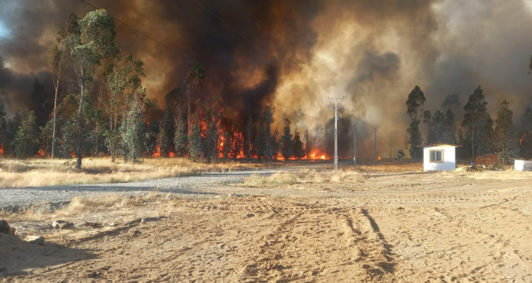 Muere adulto mayor que tenía el 60% de su cuerpo con quemaduras por incendio forestal en Pitrufquén