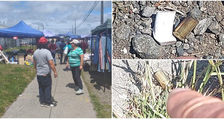 EVALÚAN CAMBIAR UBICACIÓN DE FERIA LIBRE DE ALERCE