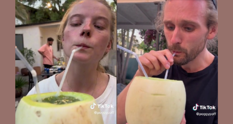 Noruegos prueban melón con vino