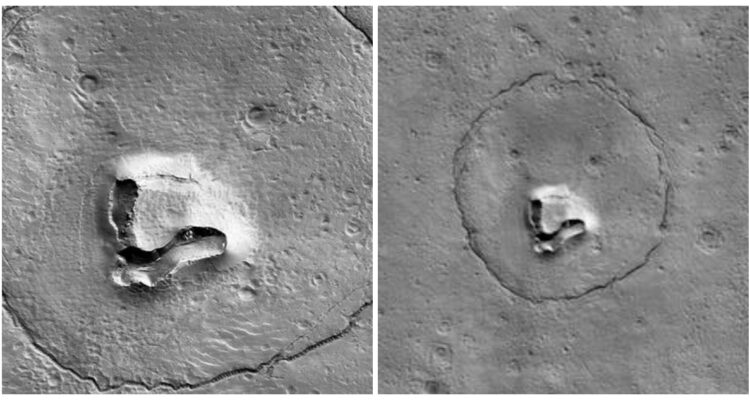 Encuentran un oso en Marte