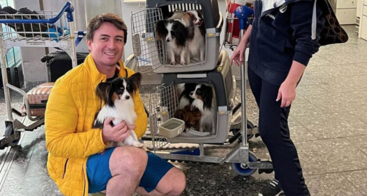 Pasajero se reencuentra con sus 4 perros extraviados por aerolínea en Turquía