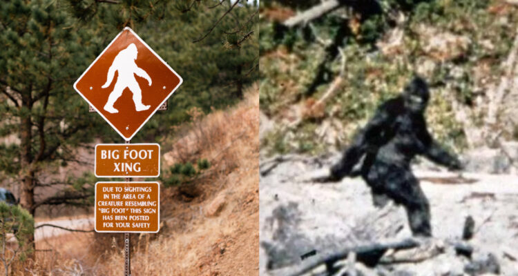 Científico desmitifica supuestos avistamientos de Pie Grande