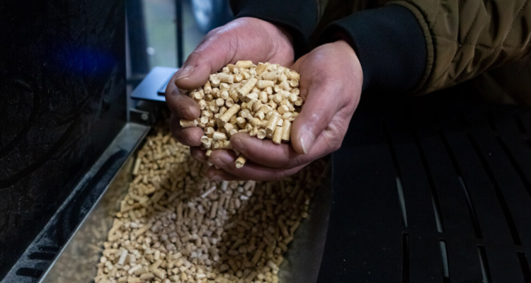 Posible alza de pellet en Los Ríos