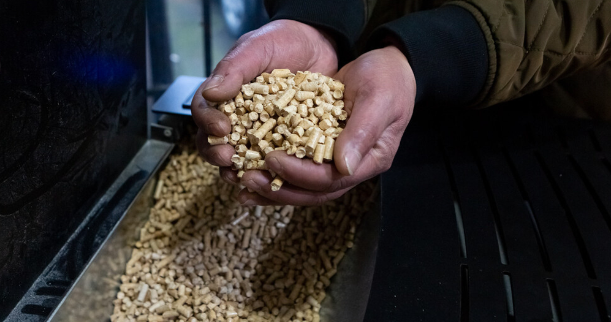 Posible alza de pellet en Los Ríos