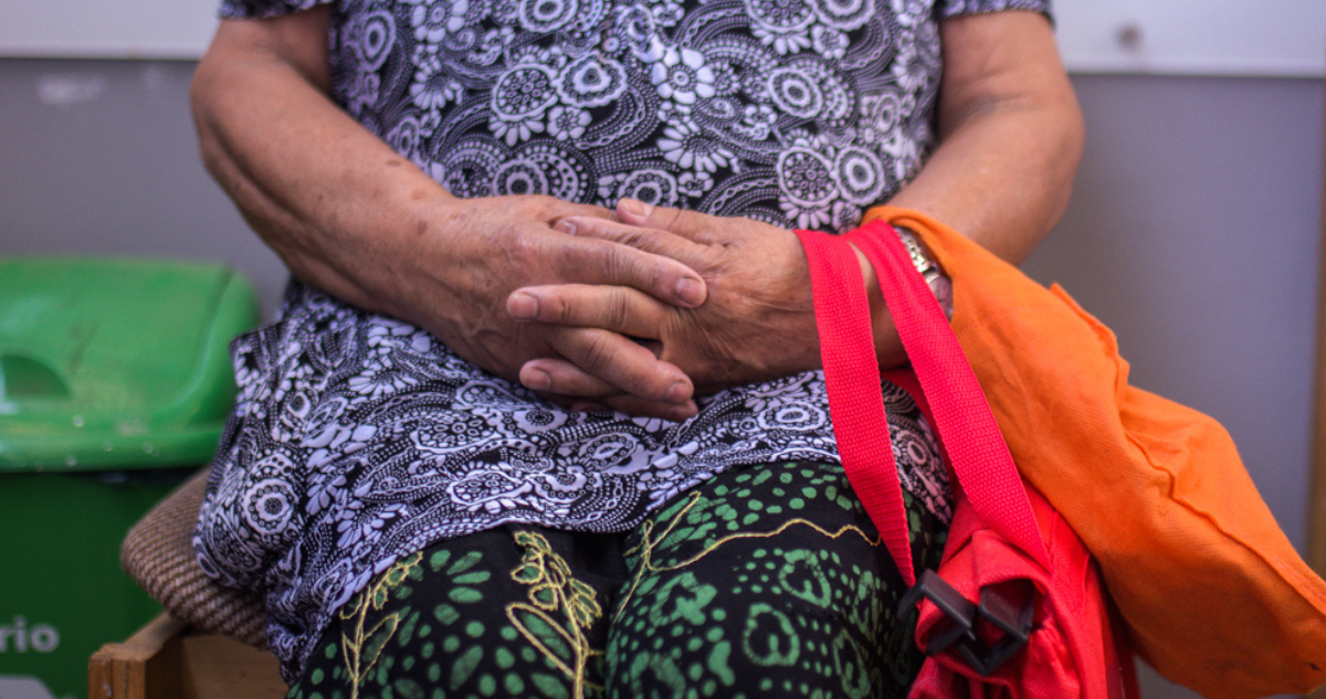 Programa de apoyo a adultos mayores en Osorno