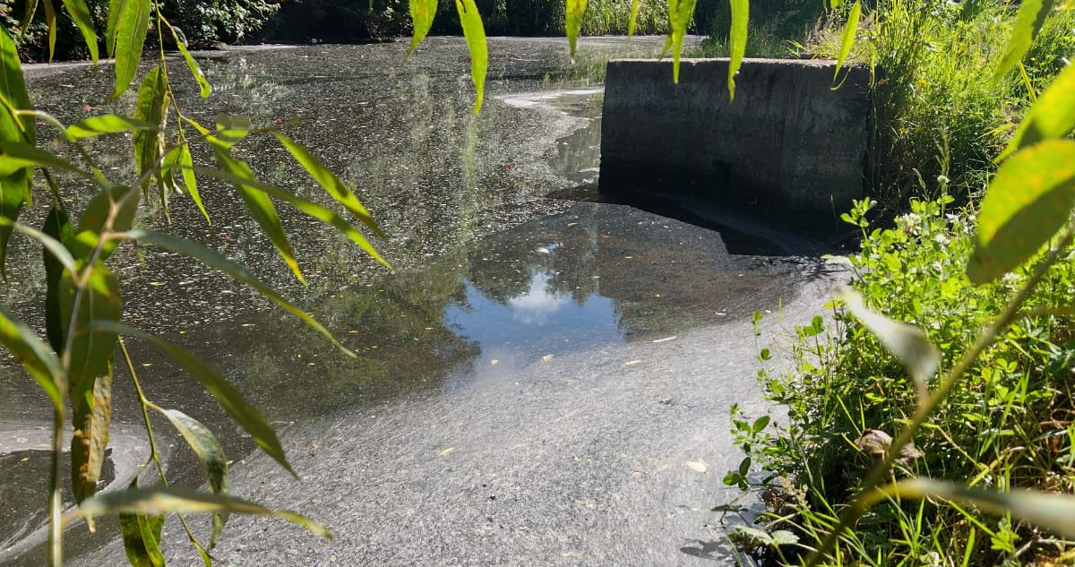 río Chifín