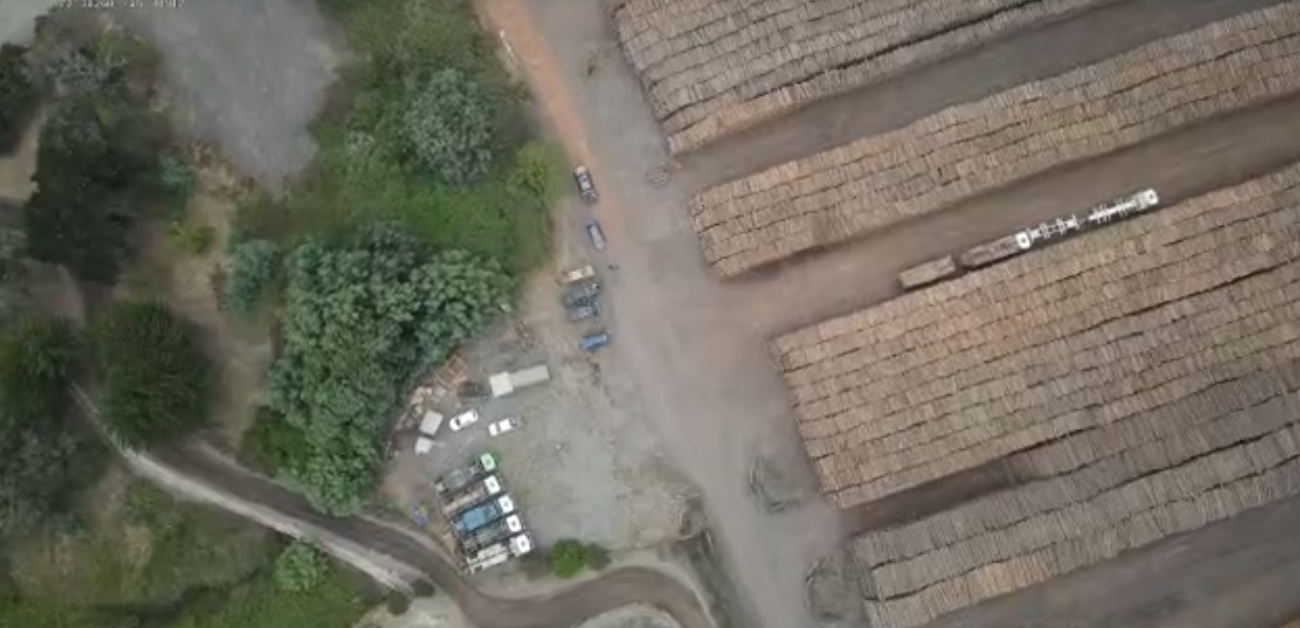 Detenidos y vehículos incautados por robo de madera
