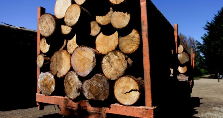 rechazan recurso de empresario acusado de robo de madera