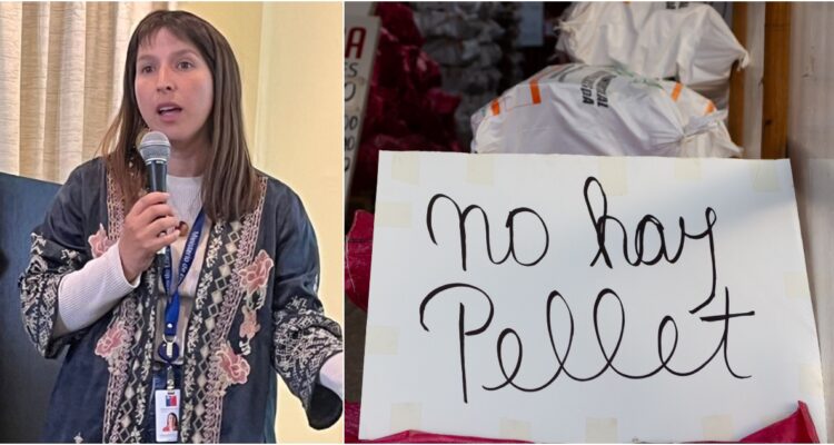 Seremi de Energía Los Lagos  (Twitter) – Agencia UNO