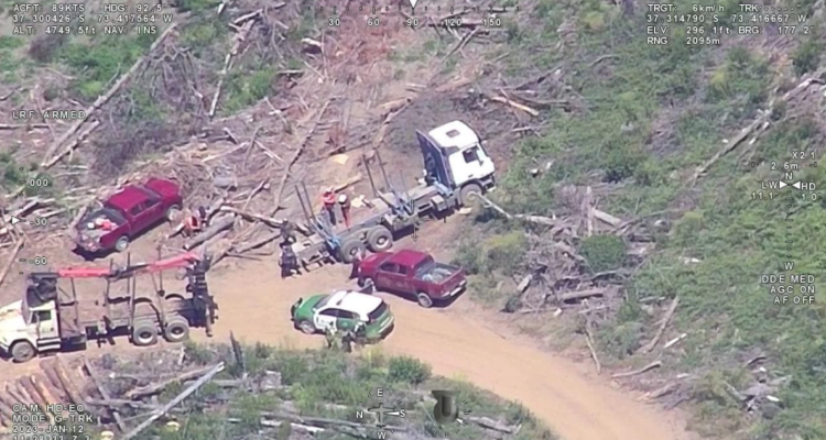 Siete detenidos por robo de madera en predio de Forestal Arauco