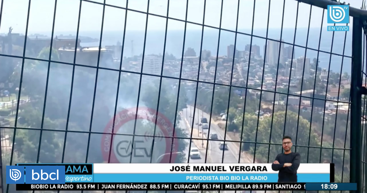 Registran emergencia forestal en los cerros de Viña del Mar en el ...