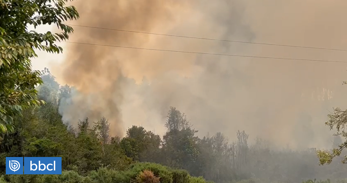 Incendio En Valdivia Y Paillaco Alcanza Las 1 300 Hectáreas Mantienen