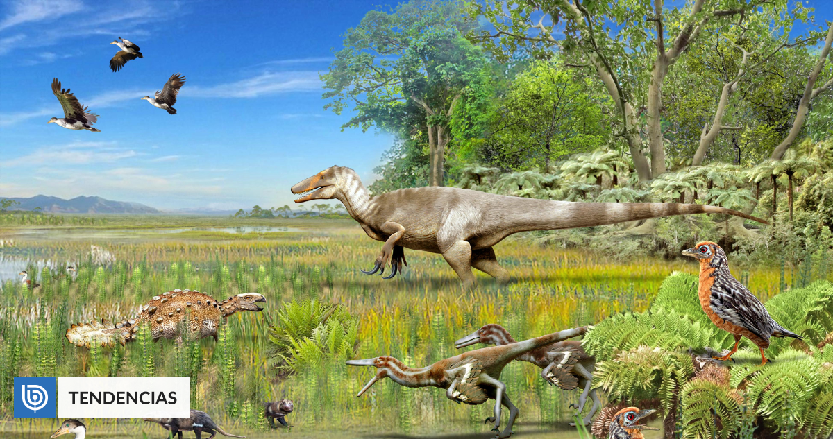 Scientists have discovered that Megaraptors dominated Chilean Patagonia 70 million years ago |  Technique