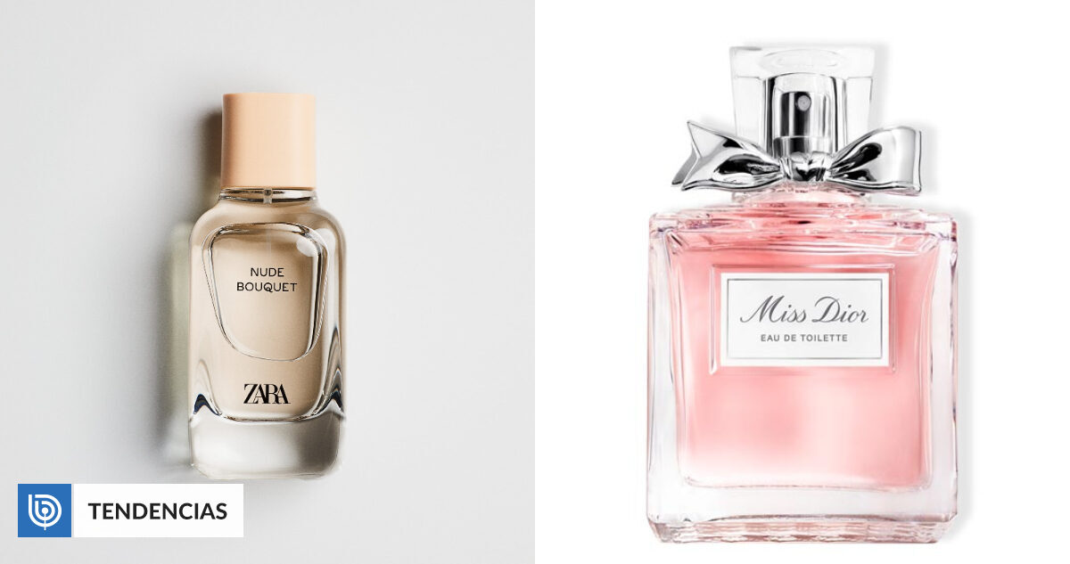 10 perfumes que huelen muy parecido a fragancias de diseñador Vida | BioBioChile