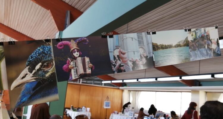 Fotografías colgadas en primera versión de Biofoto