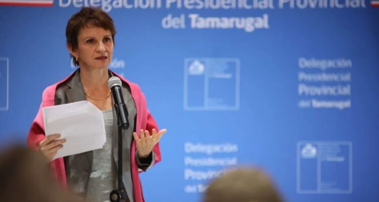 Tohá anuncia sistema integral de frontera en el norte