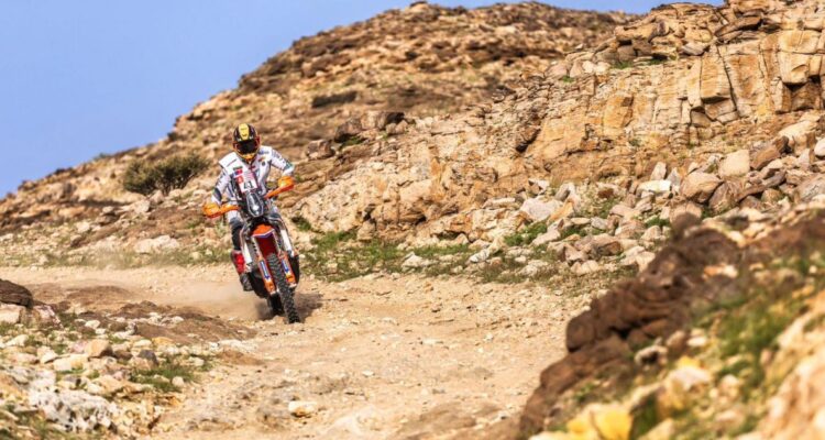 Prensa Tomás de Gavardo