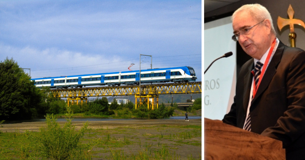 Ingeniero Tomas Guendelman por Puente Ferroviario: Es un anciano y se puede morir de un resfrío