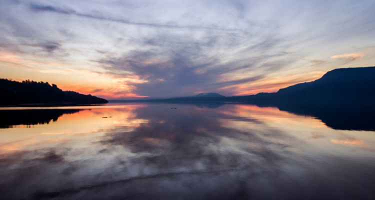toxicidad lago Villarrica