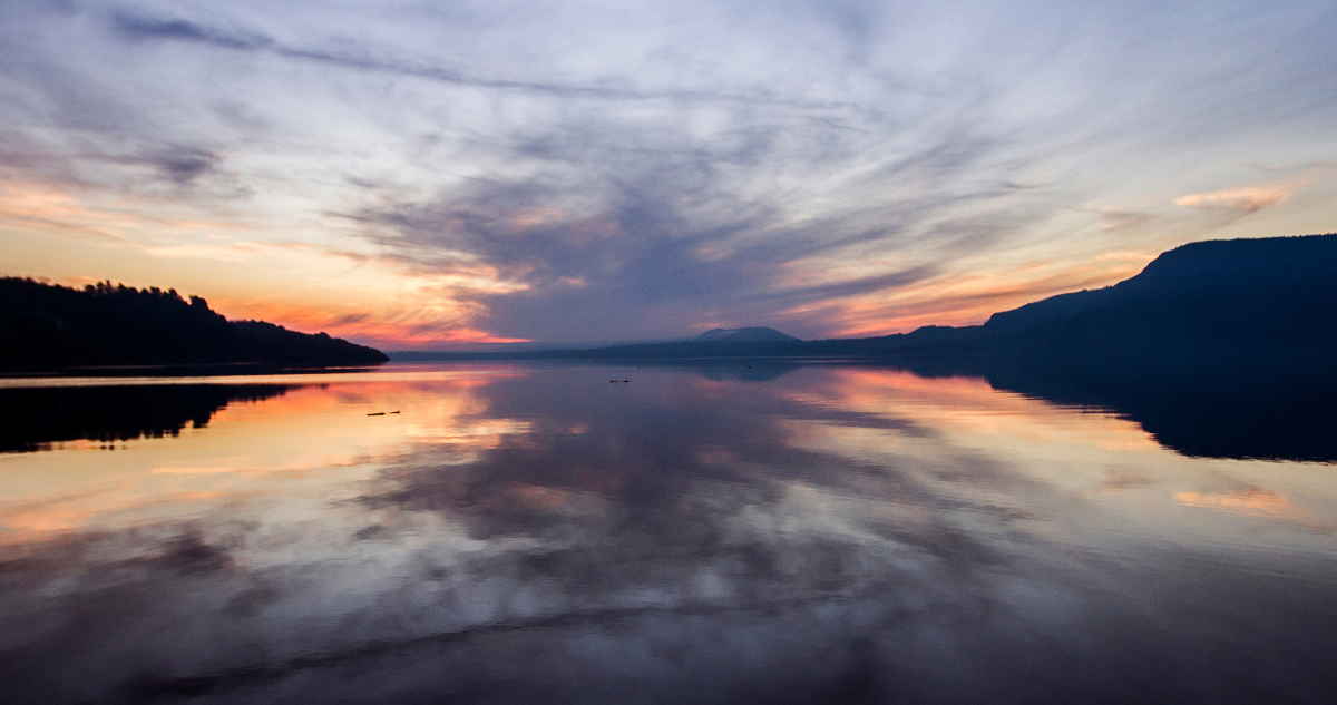 toxicidad lago Villarrica