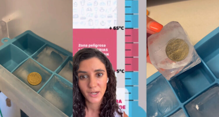 Este truco te dirá si la comida en tu freezer está en buen estado al volver