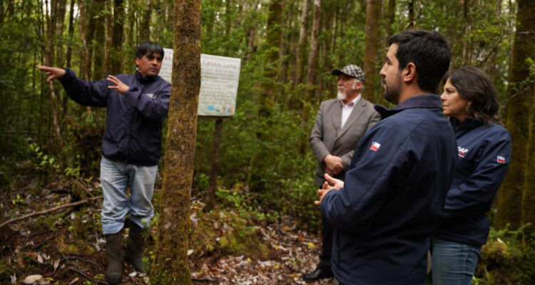 Turismo rural en Chiloé: director de Indap valora emprendimientos de la isla en su primera visita