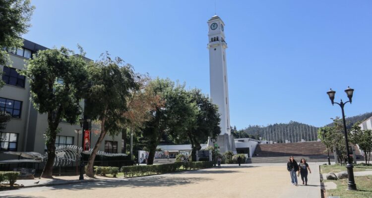 UdeC mujer apuñalada