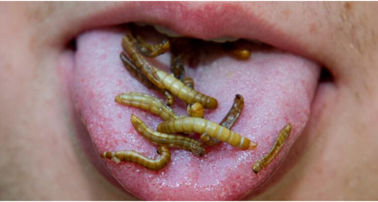 lengua con gusanos