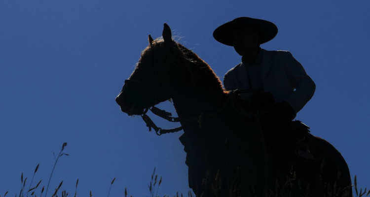 Yegua mata a hombre previo a carrera