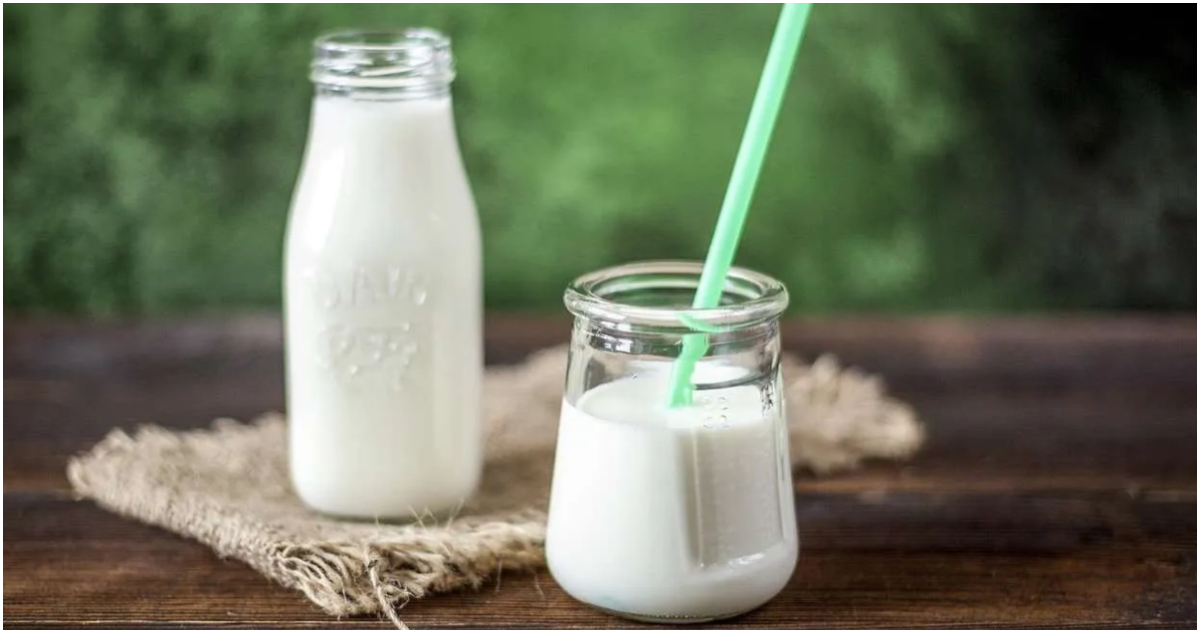 yogurt de pajaritos