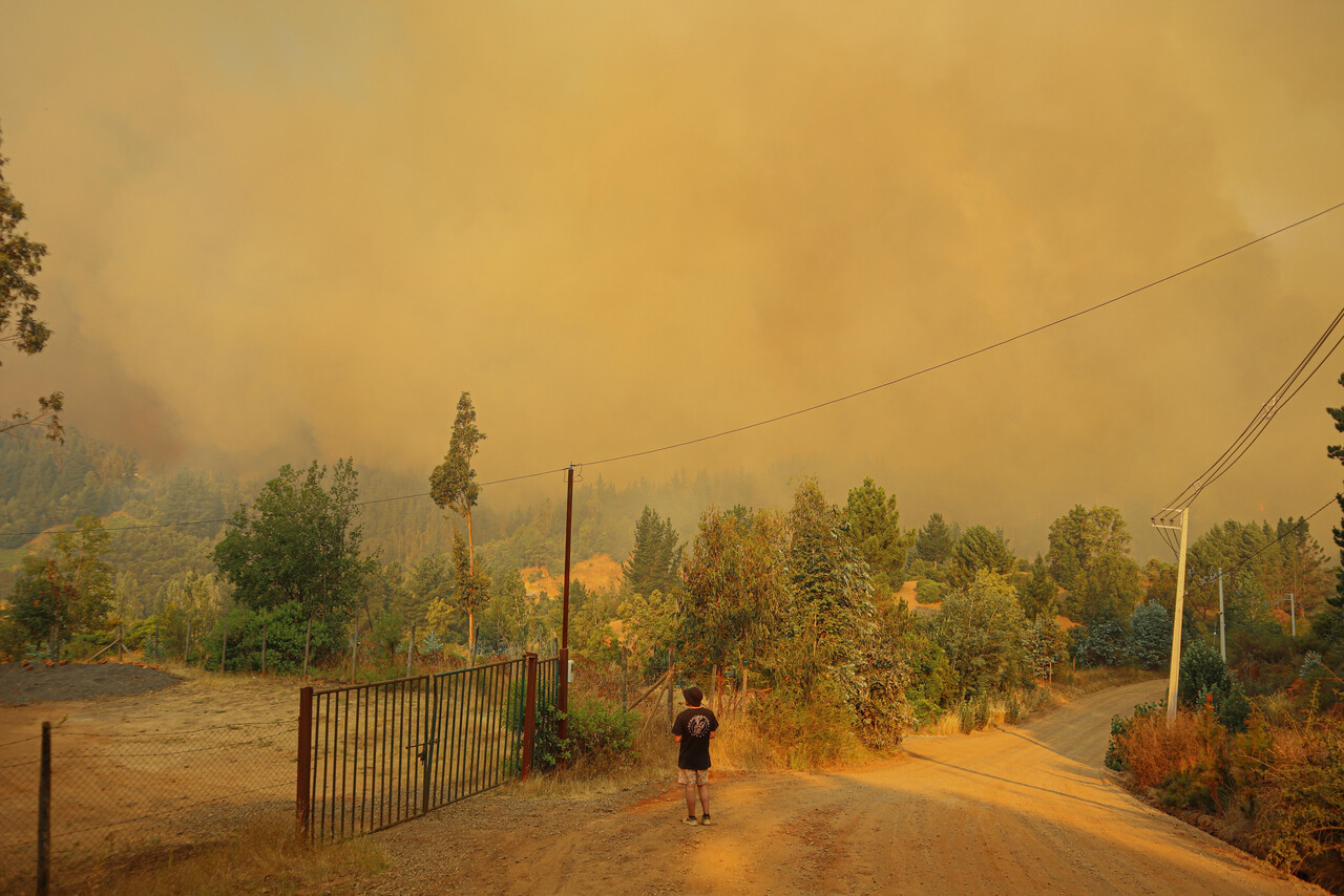 Aumentan a 6 personas muertas por incendios forestales en la región de La Araucanía