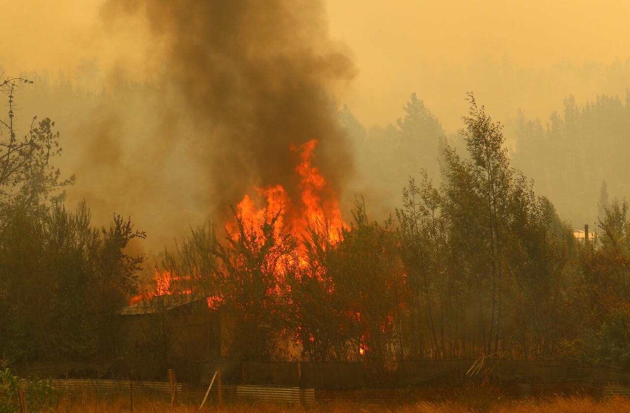 Ordenan evacuar sectores tres sectores en Quillón por amenaza de incendios forestales a viviendas