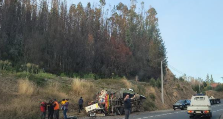 camión automóvil Coelemu